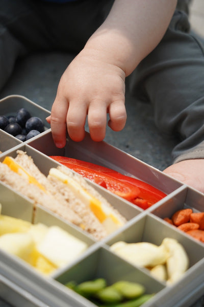 Melii Snackle Box - Grey