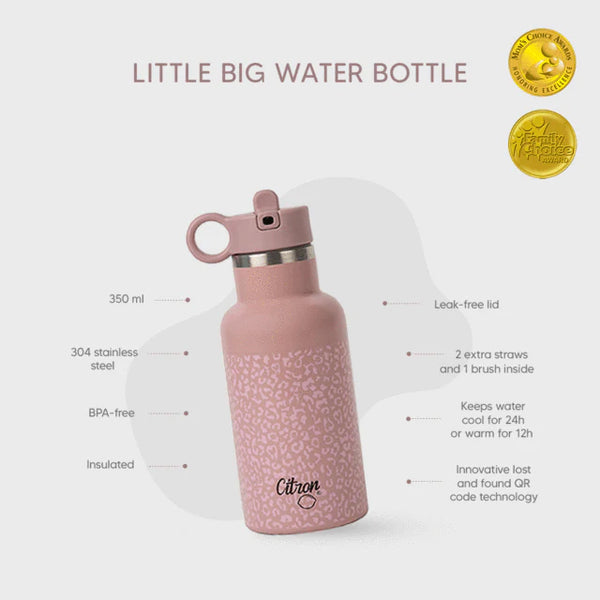 Citron Insulated bottle 350ml - Leo