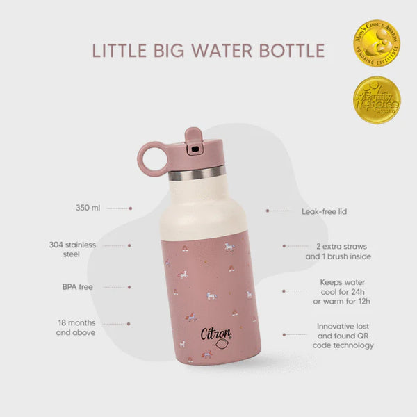 Citron Insulated bottle 350ml - Unicorn