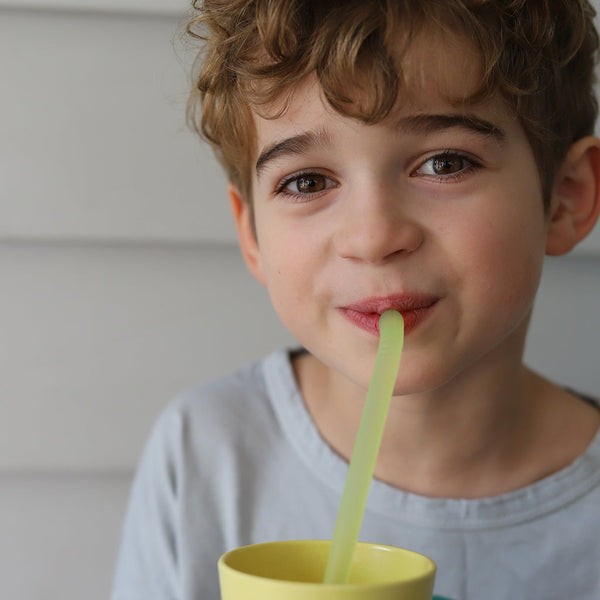 b.box Reusable Silicone Straw - Pool Party